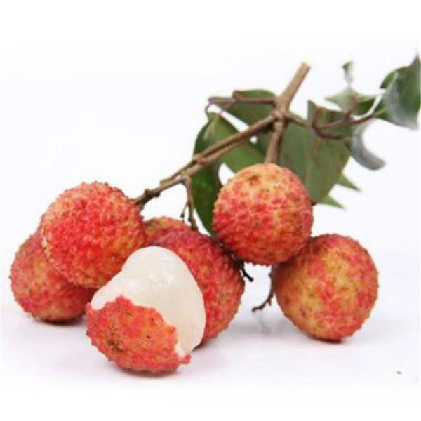 【南充全城小时达】【广曜超市精选】广东桂味荔枝【4斤装】新鲜荔枝同城送