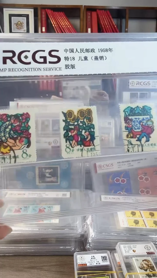 纪5     儿童    盖销