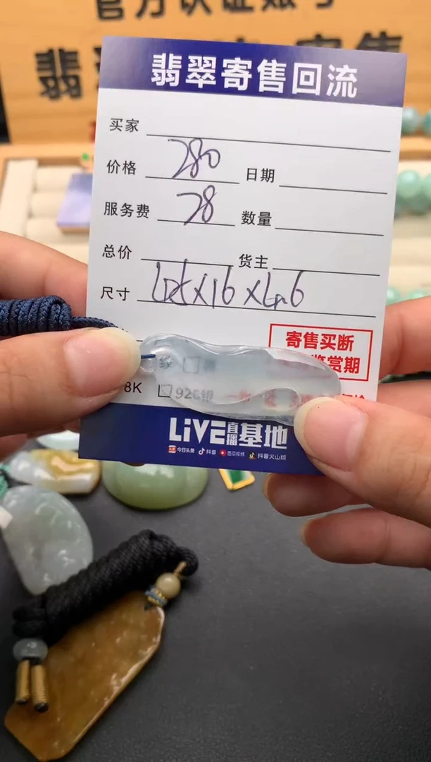 翡翠未镶嵌颈饰10142465