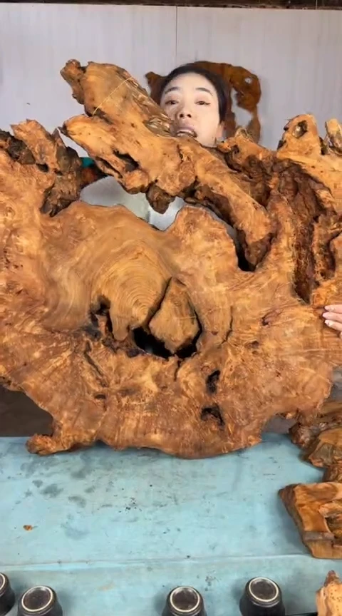 【闪购商品】香杉木木艺杉木瘤随型【原料】023