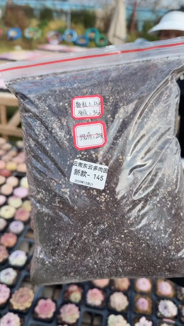 东云多肉园新款-145（1.5kg颗粒土）