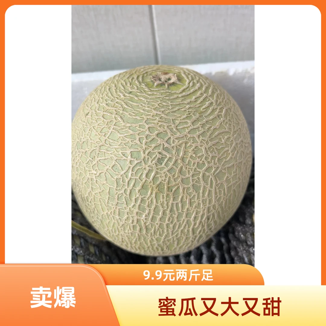 网纹蜜瓜（哈密瓜）15一个约2.2斤