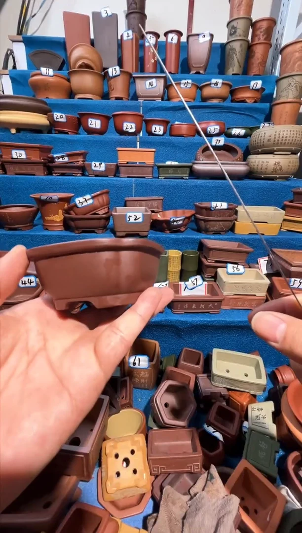 【闪购商品】紫砂紫砂花盆8*3.5