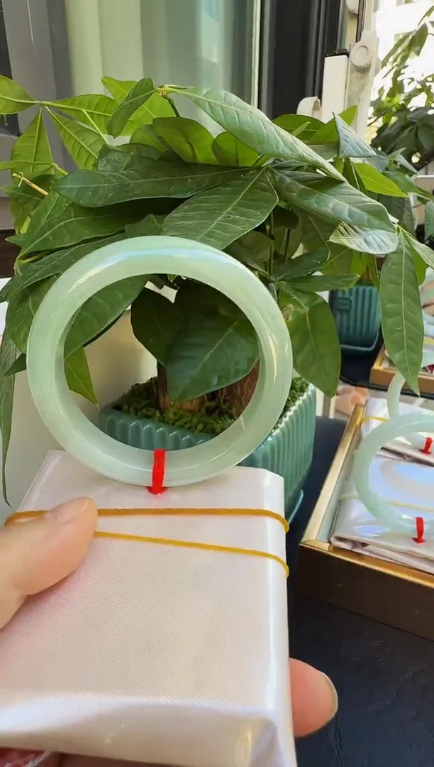 未镶嵌手镯翡翠缅甸天然A货翡翠手镯-15