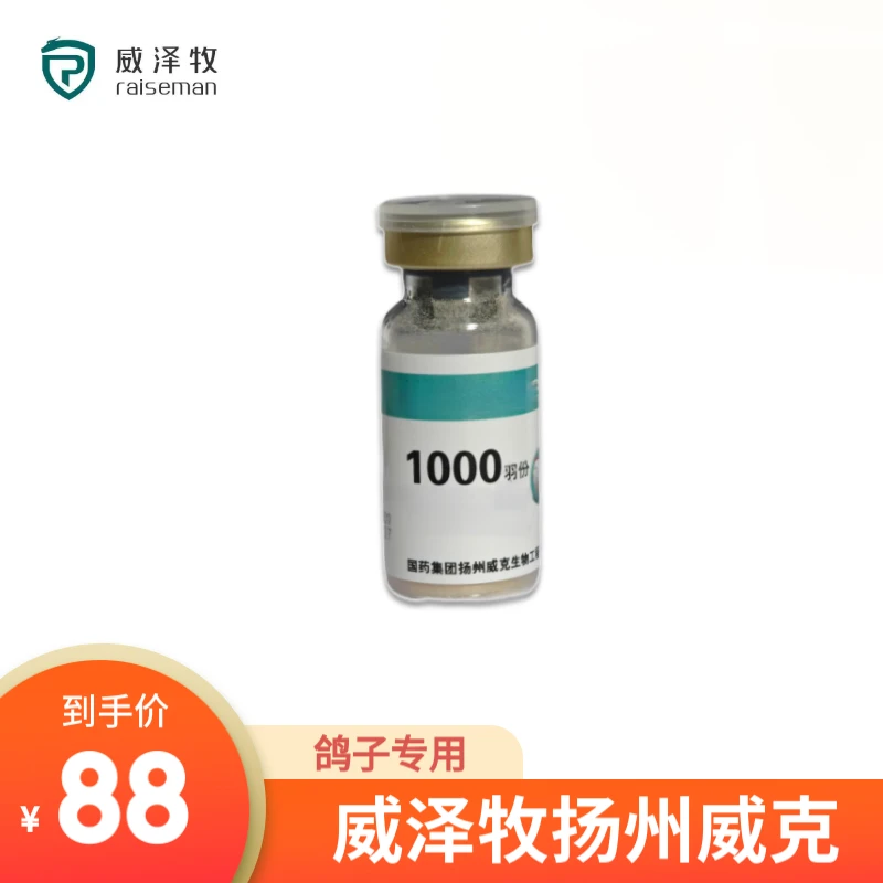 威泽牧扬州威克 鸽子用品营养品鸽用品