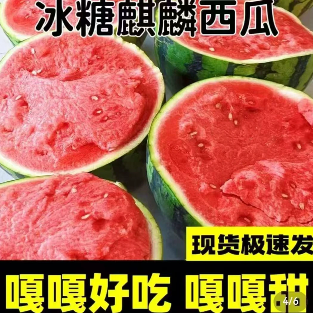 顺丰京东包邮正宗美都麒麟冰糖大西瓜脆甜多汁现摘现