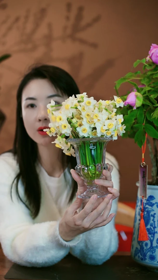 【闪购商品】盆景水仙花 带盆