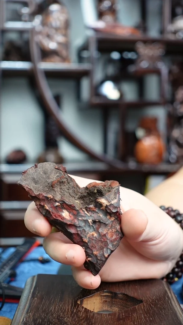 木本降真香红降花梨公虫漏原料41g