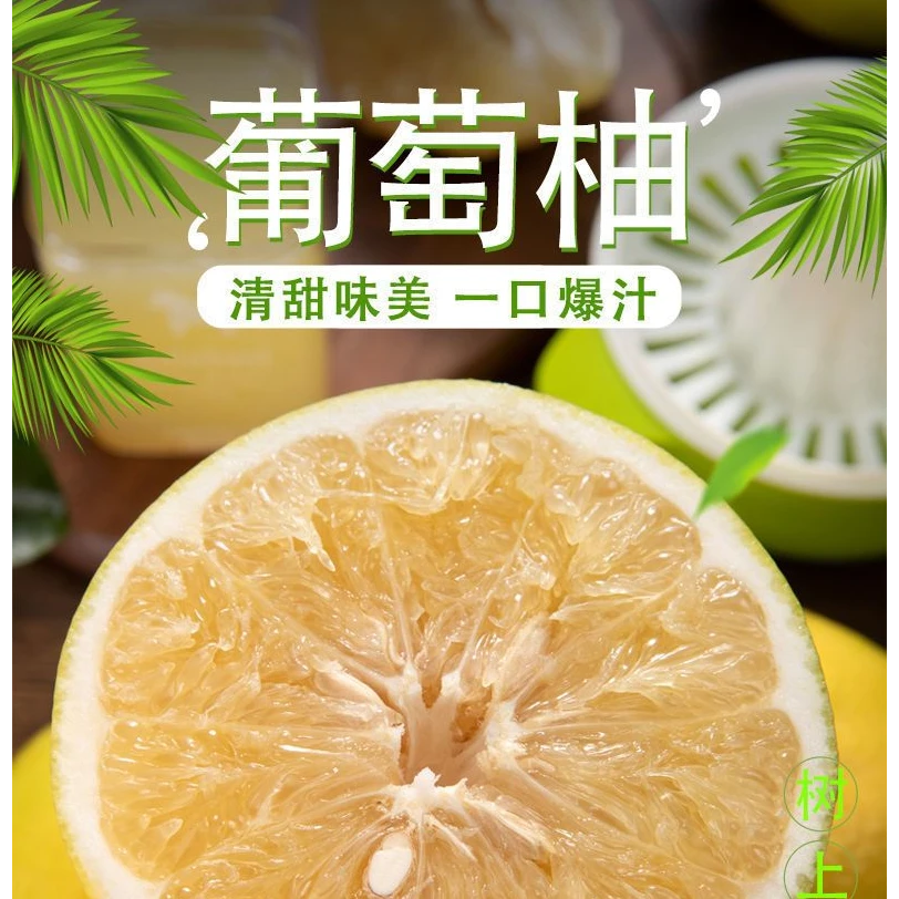 福建漳州黄金葡萄柚西柚柚子新鲜应季现摘薄皮多汁孕妇大果水果