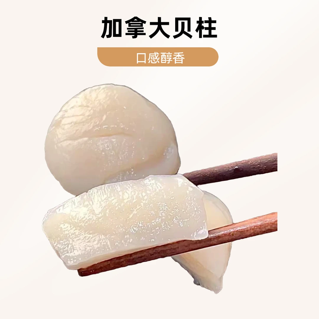 加拿大贝柱 3只贝壳
