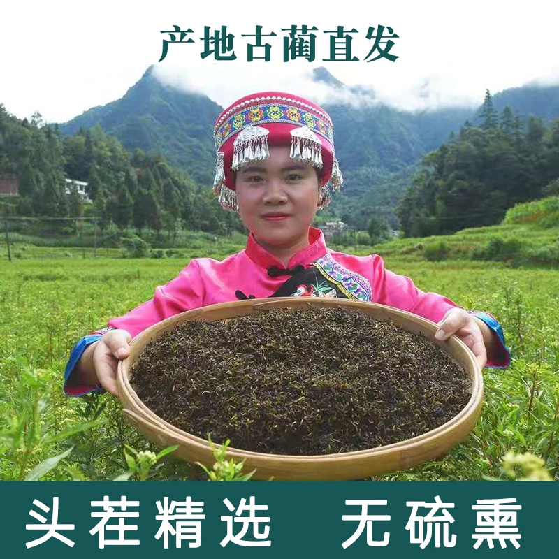 古蔺正品发货古蔺基地直发精选头茬赶黄草茶赶黄草