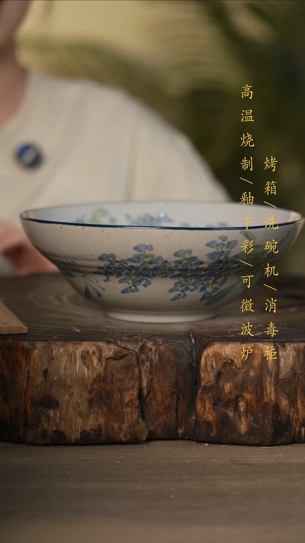 瓷片景德镇高温釉下彩可微波烤箱洗碗机