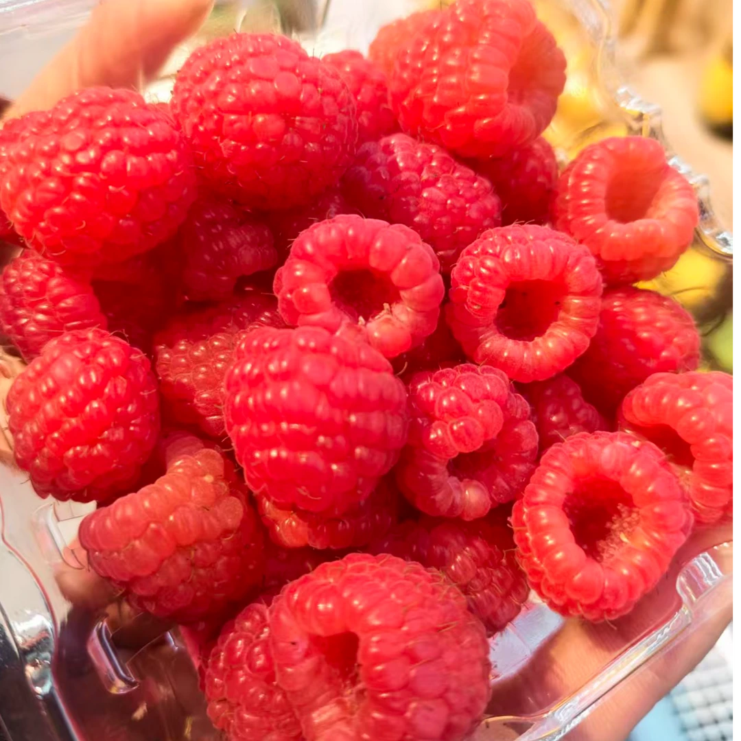 【配送到家】怡课莓树莓，口感脆嫩爆汁，酸甜平衡。