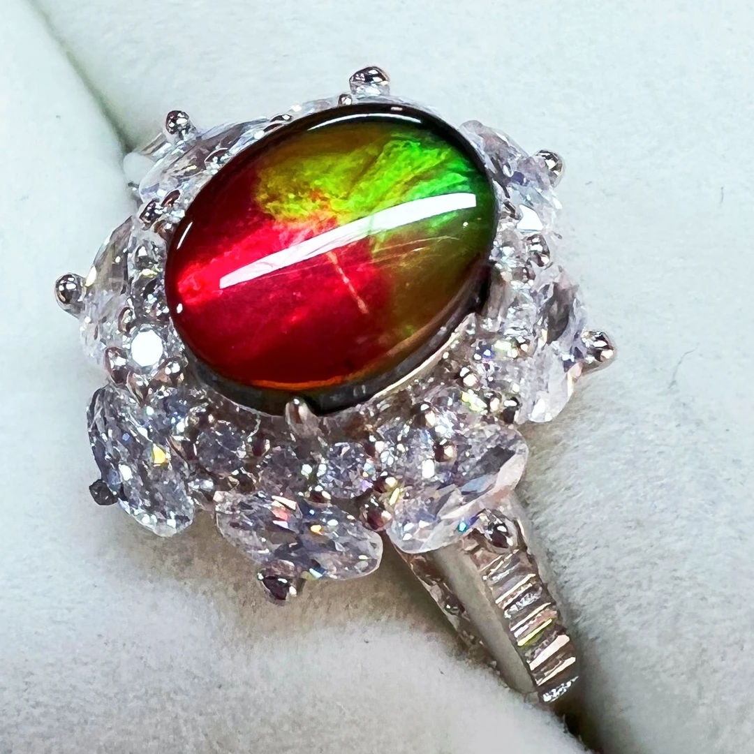 【斑彩】15mm 加拿大 N-7 JZ-M  贝壳创意饰品M16