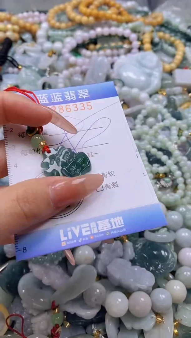 翡翠未镶嵌颈饰闪购0286335多样性发其一