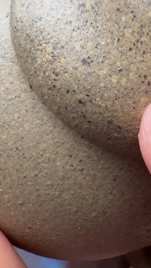 茶壶紫砂茄瓜-半手工制-宝山降坡泥气窑-30目-容量：170CC