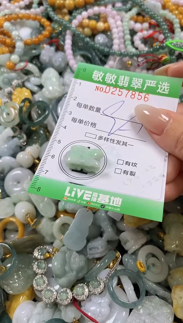 翡翠未镶嵌颈饰闪购0257856