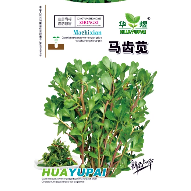 马齿苋种子蚂蚱菜阳台盆栽食用春秋野菜蔬菜种子