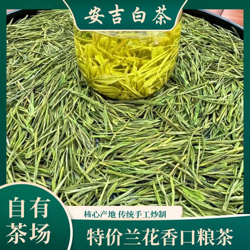【福利】25g五锋山白茶兰花香口粮茶