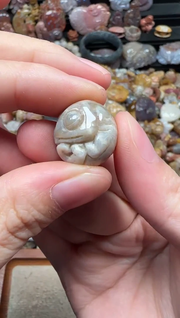 颈饰未镶嵌硅化珊瑚（珊瑚玉）261