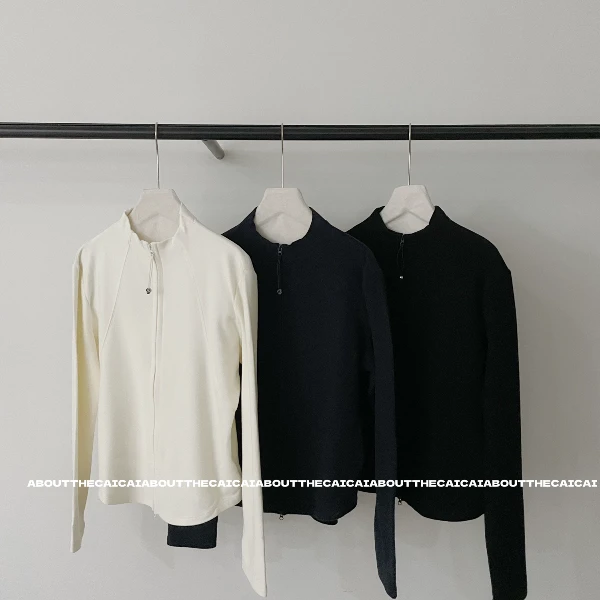 CAICAI双面绒立领保暖卫衣女秋冬加厚韩系简约高级感休闲百搭上衣