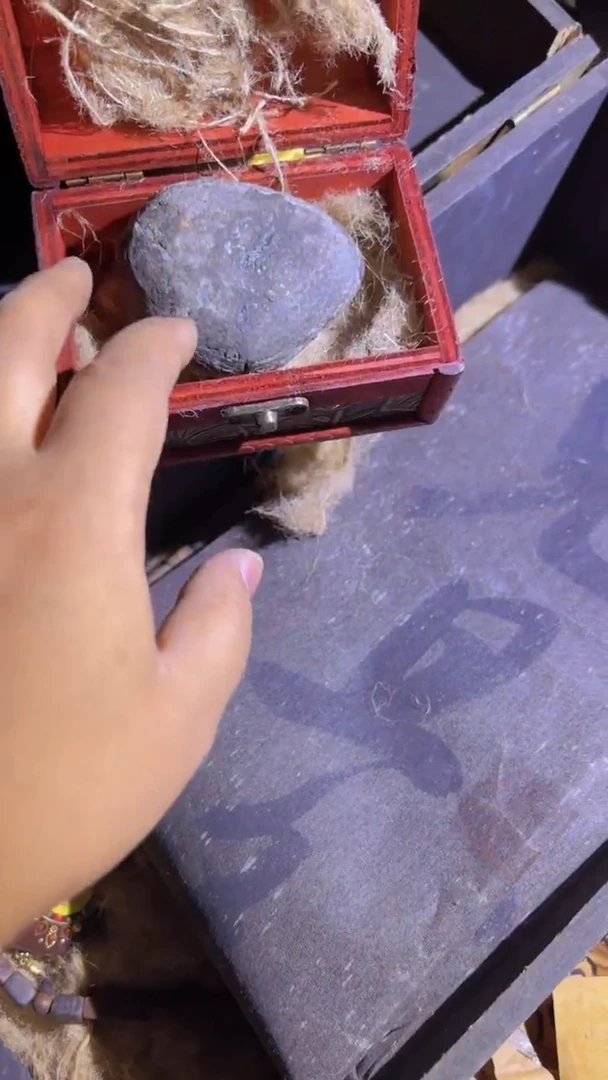 木木木木木木木木