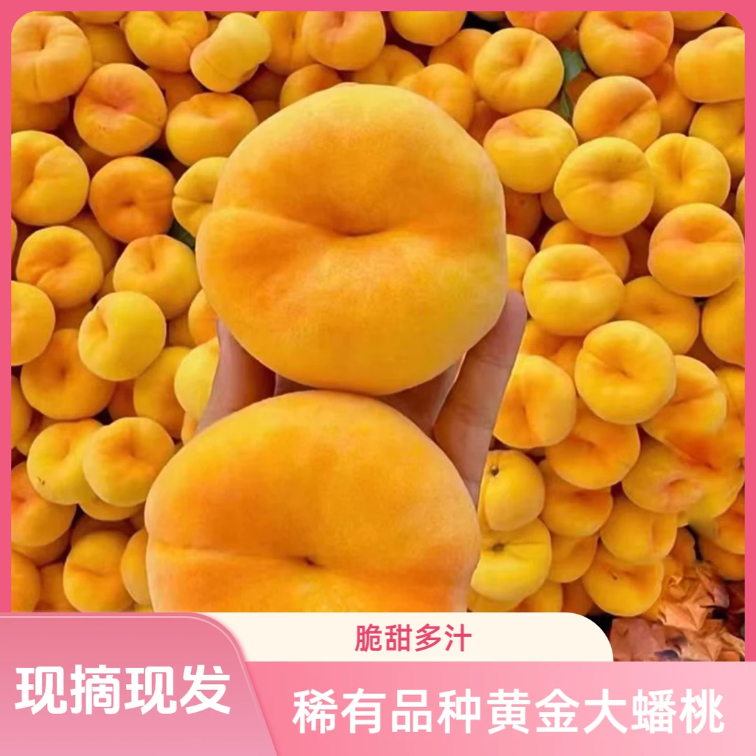 山东蒙阴新鲜脆甜黄金桃黄毛蟠桃大蟠桃应季水果香甜多汁