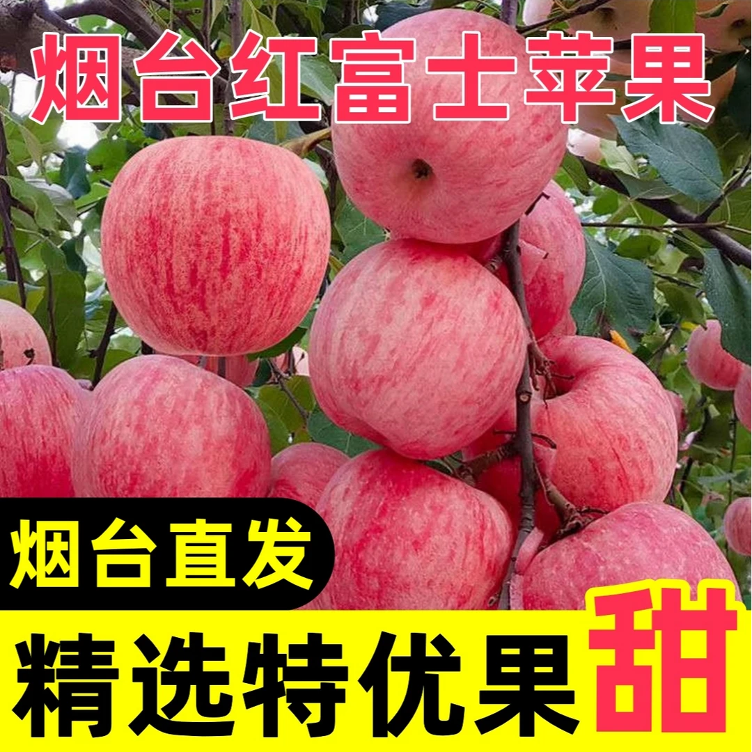 【带箱5斤】山东烟台栖霞红富士苹果脆甜可口应季水果产地直发