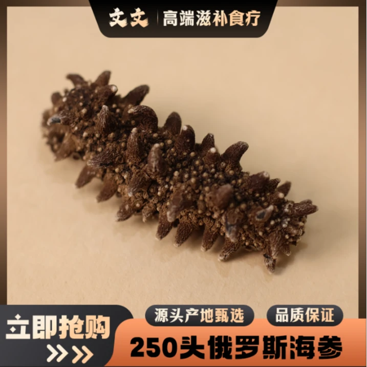 海参 满天星刺参 俄罗斯