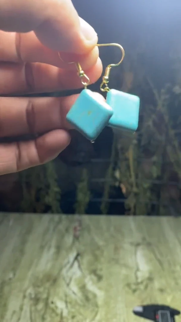 2294    精美耳饰