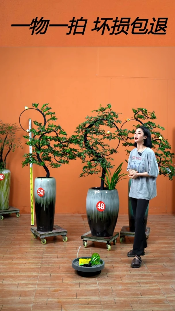 无花朵西****2广东小叶紫檀