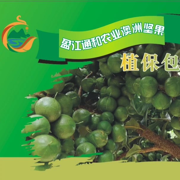 澳洲坚果防落果膨果套餐包