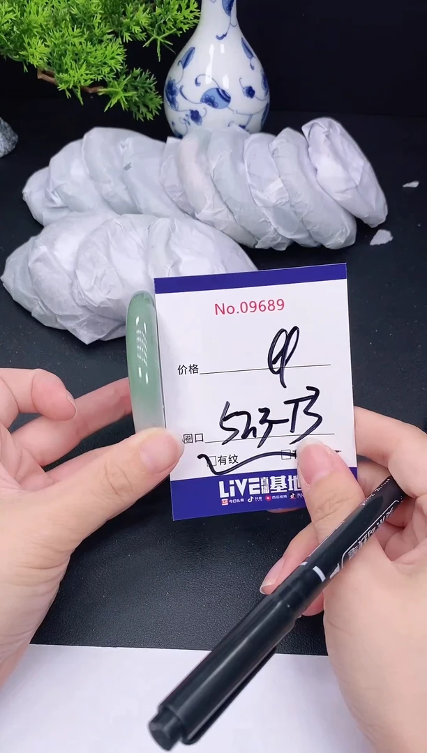 未镶嵌手镯翡翠9689