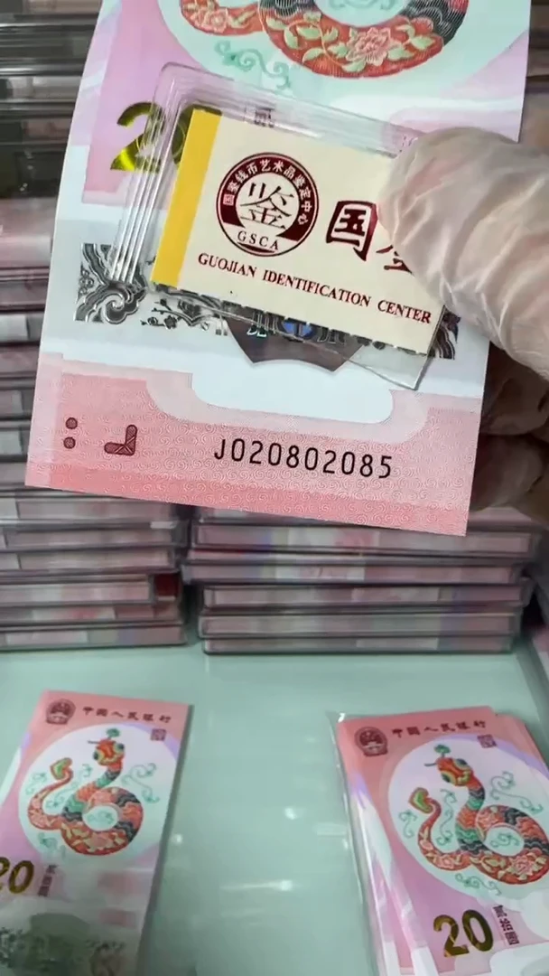 【闪购商品】塑料020802085-蛇钞单张！