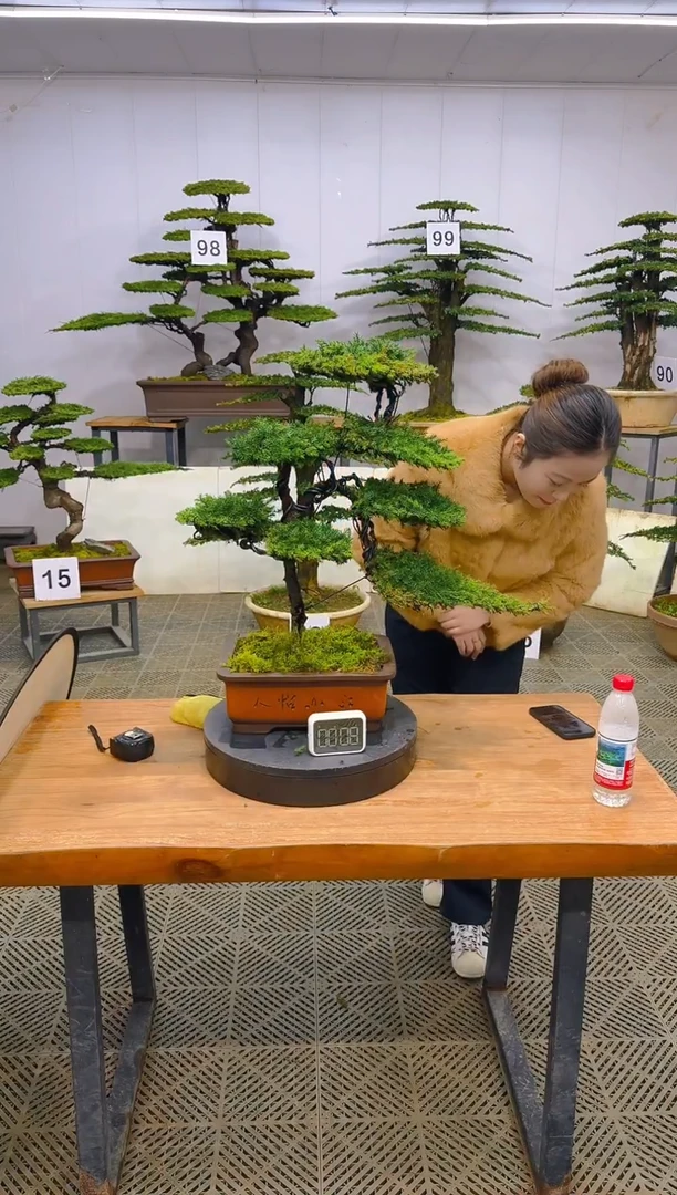 无花朵一物一拍一物一拍