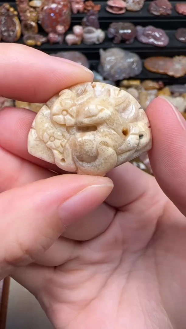 颈饰未镶嵌硅化珊瑚（珊瑚玉）283