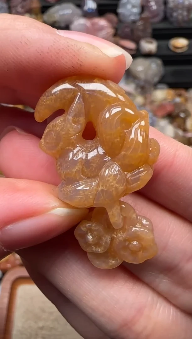 颈饰未镶嵌硅化珊瑚（珊瑚玉）421