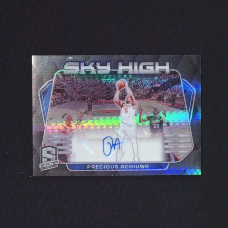 阿丘瓦 光谱 签字 10编 帕尼尼NBA国宝手提签字球星卡