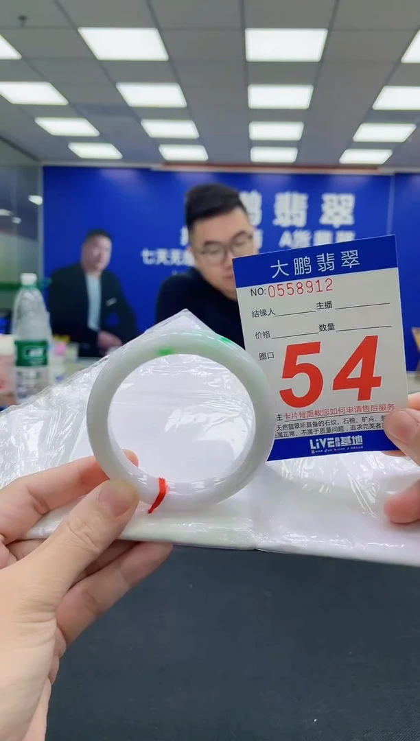 未镶嵌手镯翡翠AAAAAAAAA