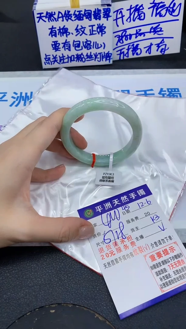 未镶嵌手镯翡翠1