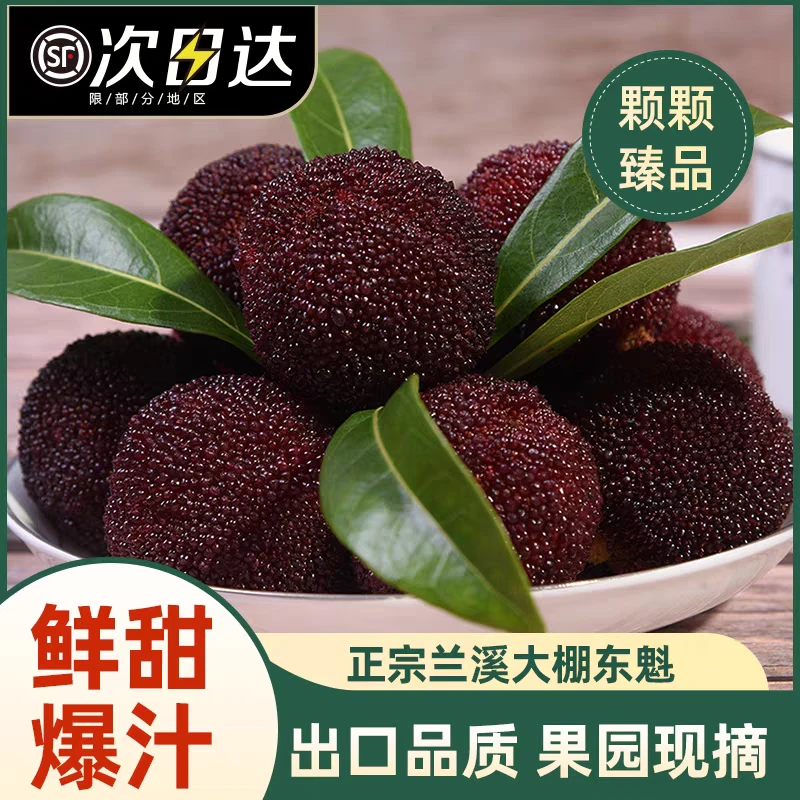 正宗兰溪大棚东魁鲜果现摘现发新鲜当季水果礼盒装
