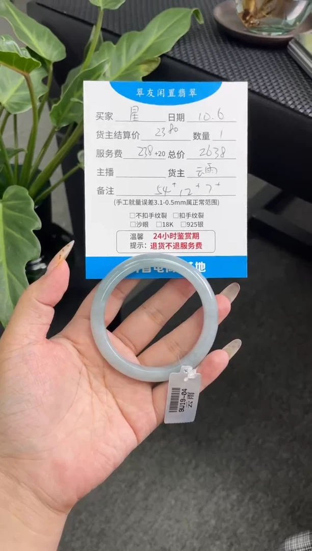 未镶嵌手镯翡翠星*手镯