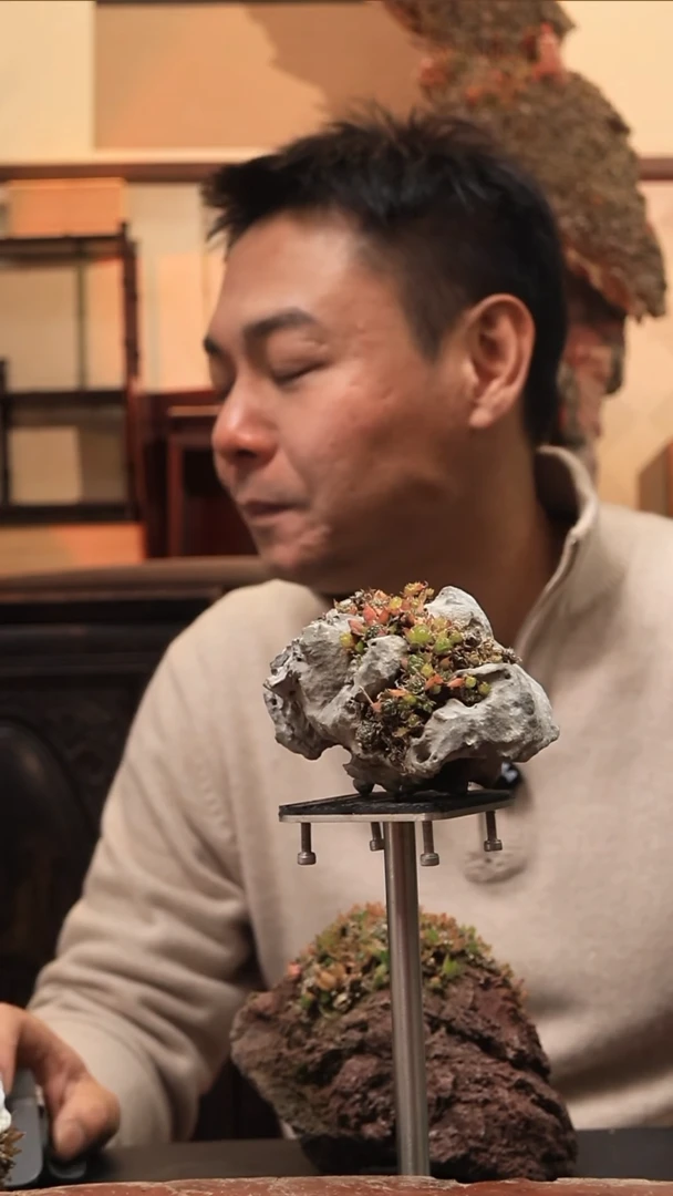 【闪购商品】n'b'n'n'm