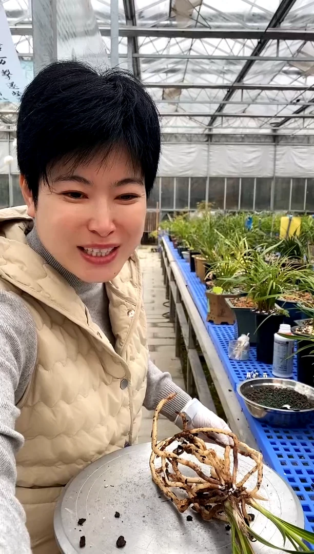 【闪购商品】廿七，W