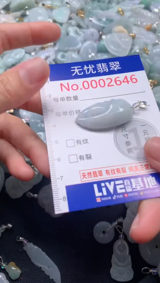 颈饰未镶嵌翡翠2646