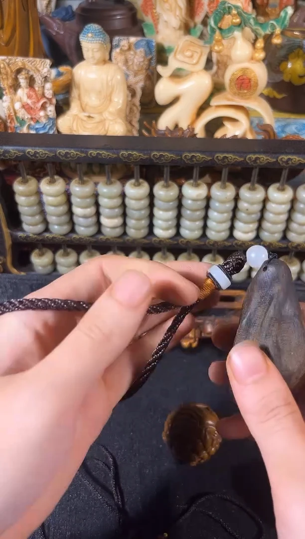 黄杨木11111111111