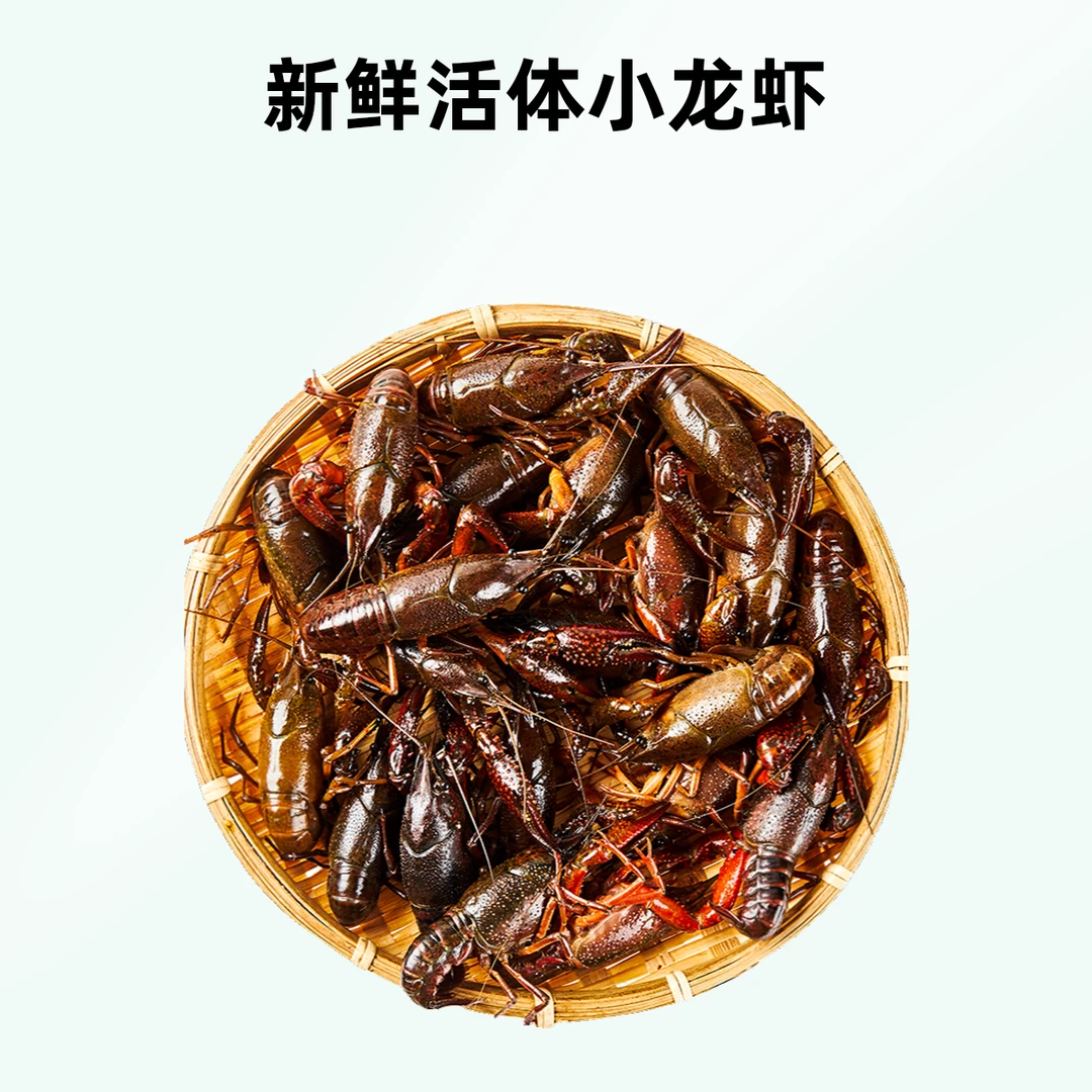 鲜活清水龙虾【小号】8斤