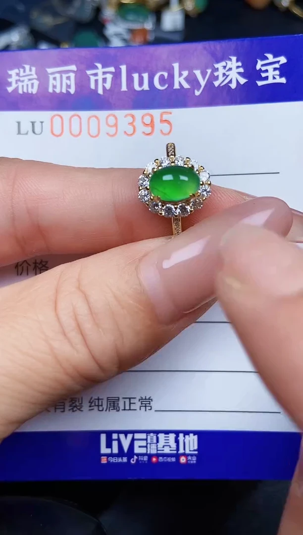 翡翠银S925镶嵌颈饰9395