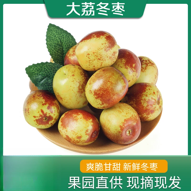 【混装福利款】陕西大荔冬枣脆甜可口果园直发现摘现发 新鲜到家