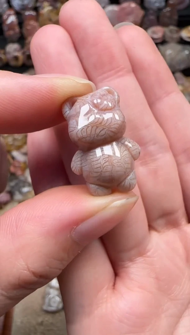 颈饰未镶嵌硅化珊瑚（珊瑚玉）159